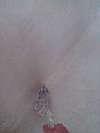 spaincottageextension 5030.jpg